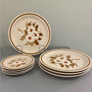 Set of 8 vintage mountain wood collection “dried flowers” stoneware plates